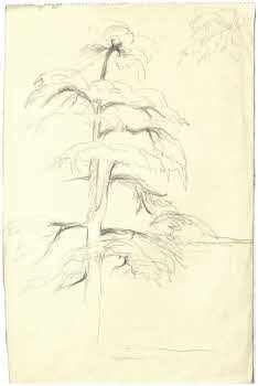 Visualizza l'immagine "FD D 72"